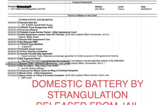DOMESTIC BATTERY BY STRANGULATION - RELEASED “OWN RECOGNIZANCE” JUDGE ANN ZIMMERMAN