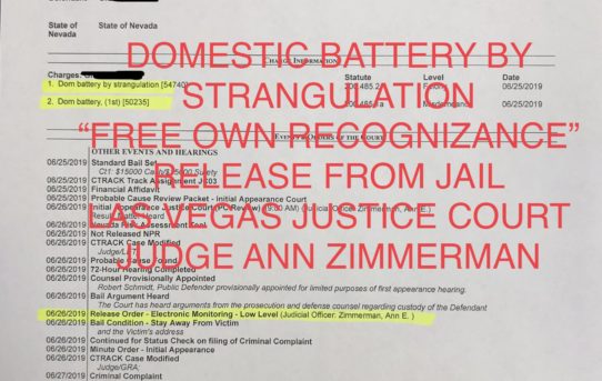 DOMESTIC BATTERY BY STRANGULATION - “OWN RECOGNIZANCE” RELEASE FROM JAIL.  JUDGE ANN ZIMMERMAN