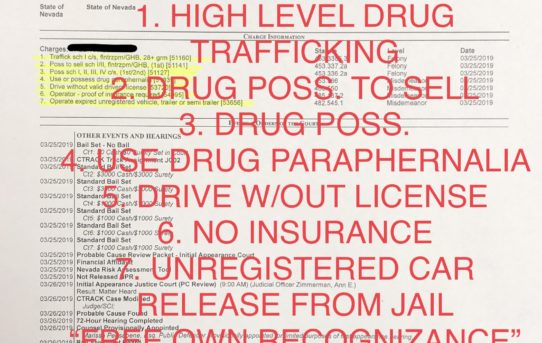 HIGH LEVEL DRUG TRAFFICKING + 6 CHARGES - “O.R.” RELEASE JUDGE ANN ZIMMERMAN