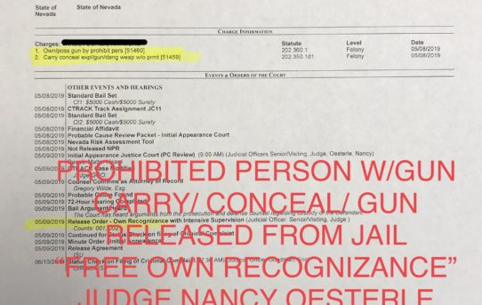 PROHIBITED PERSON W/GUN & CARRY/CONCEAL/GUN - “O.R.” RELEASE JUDGE NANCY OESTERLE