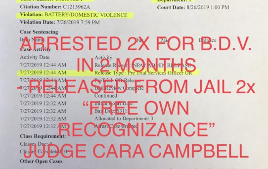 ARRESTED 2X FOR B.D.V. IN 3 MONTH - 2X “O.R.” RELEASE JUDGE CARA CAMPBELL