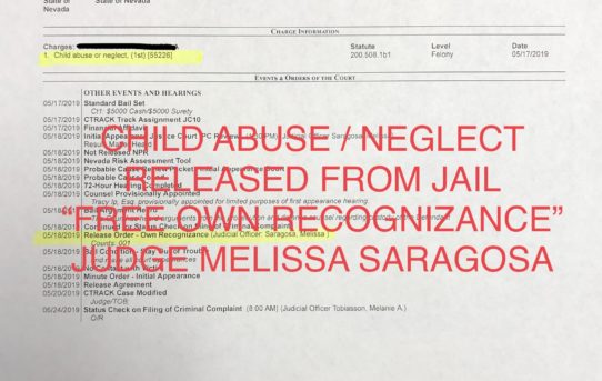 CHILD ABUSE / NEGLECT - “O.R.” RELEASE JUDGE MELISSA SARAGOSA