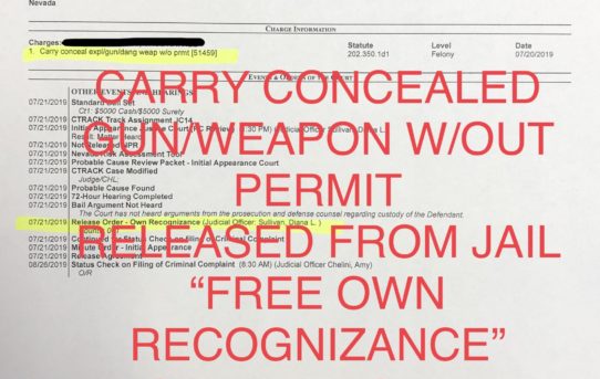 CONCEALED GUN/WEAPON W/OUT PERMIT - “O.R.” RELEASE JUDGE DIANA SULLIVAN