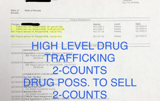HIGH LEVEL DRUG TRAFFICKING 2X + DRUG POSS. TO SELL 2X - “O.R.” JUDGE AMY CHELINI
