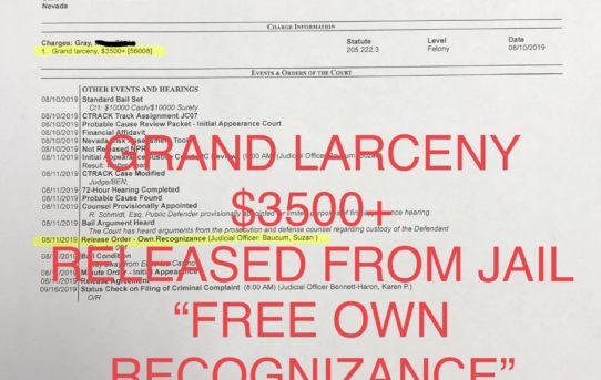 GRAND LARCENY +$3500 - “O.R.” RELEASE JUDGE SUZAN BAUCUM