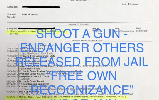 SHOOT A GUN + ENDANGER OTHERS - “O.R.” RELEASE JUDGE ANN ZIMMERMAN.