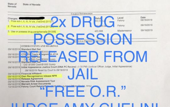 2x DRUG POSS. - “O.R.” RELEASE JUDGE AMY CHELINI