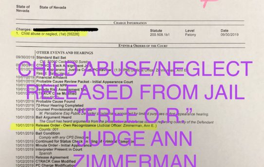 CHILD ABUSE/ NEGLECT - “O.R.” RELEASE JUDGE ANN ZIMMERMAN