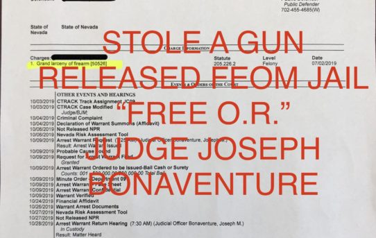 STOLE A GUN - “O.R.” RELEASE JUDGE JOSEPH BONAVENTURE