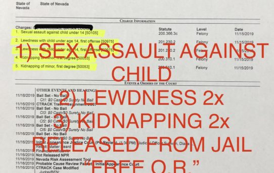 SEX ASSAULT AGAINST CHILD/ LEWDNESS/ KIDNAPPING 2x - “O.R.” RELEASE JUDGE DIANA SULLIVAN