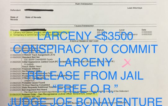 LARCENY <$3500 + CONSPIRACY TO COMMIT LARCENY - “O.R.” RELEASE JUDGE JOE BONAVENTURE
