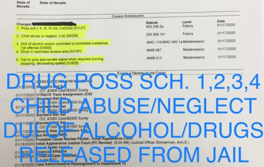 DRUG POSS + CHILD ABUSE/NEGLECT + DUI - “O.R.” RELEASE JUDGE ANN ZIMMERMAN.