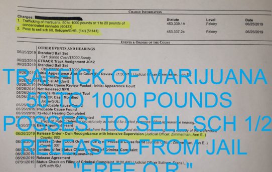TRAFFICKING OF MARIJUANA, 50 TO 1000 POUNDS + POSS TO SELL SCH 1/2 – “O.R.” RELEASE JUDGE ANN ZIMMERMAN