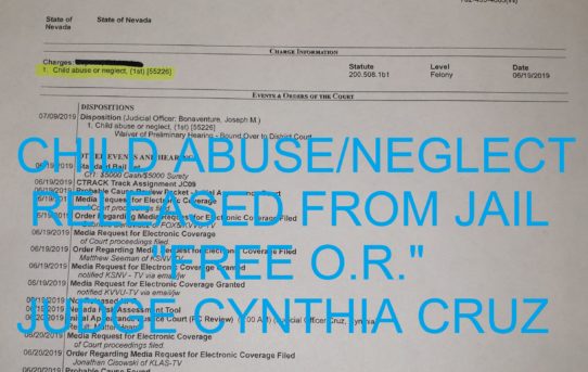 CHILD ABUSE OR NEGLECT - "O.R." RELEASE JUDGE CYNTHIA CRUZ