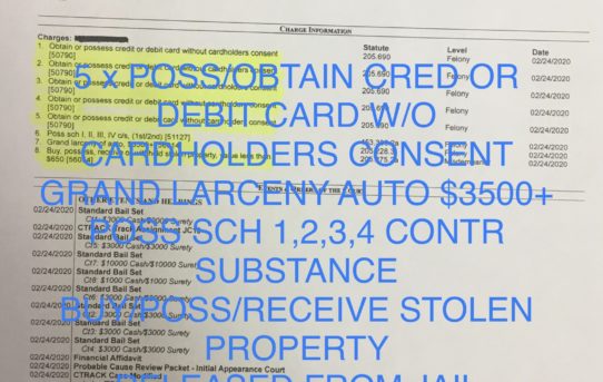 5 x POSS/OBTAIN CRED/DEBIT CARD W/O CARDHOLDERS CONSENT + GRAND LARCENY OF AUTO + POSS SCH 1,2,3,4 CONTROLLED SUBSTANCE + BUY/POSS/RECEIVE/ STOLEN PROP. - "O.R." RELEASE JUDGE JOE BONAVENTURE