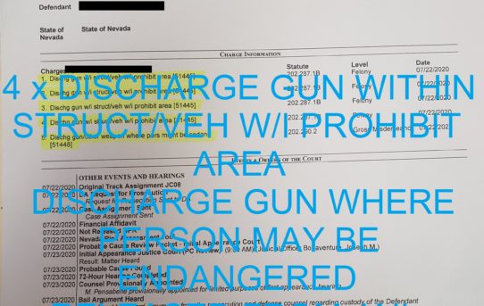 4 x DISCHARGE GUN WITHIN STRUCT/VEH W/I PROHIBIT                       AREA + DISCHARGE GUN WHERE PERSON MAY BE               ENDANGERED - "O.R." JUDGE JOE BONAVENTURE